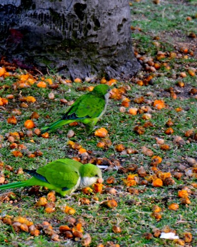 DSC_0357.JPG