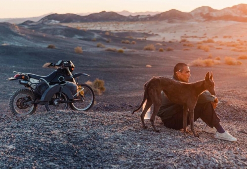 cimes cinéphiliques 2025,sylvain métafiot,ne bataille après l'autre,paul thomas anderson,black dog,hu guan,&nbsp;mektoub my love : canto due,abdellatif kechiche,À la lueur de la chandelle,andré gil mata,ermiglio,maura delpero,a house of dynamite,kathryn bigelow,eephus,carson lund,gangs of taïwan,keff,dimanches,shokir kholikov,la chambre de mariana,emmanuel finkiel,un parfait inconnu,james mangold,the brutalist,brady corbet,train dreams,clint bentley,chime,kiyoshi kurosawa,prima la vita,francesca comencini,amélie et la métaphysique des tubes,maïlys vallade et liane-cho han,tardes de soledad,albert serra,lumière,l'aventure continue,thierry frémaux,lumière de mes yeux,sophie bredier,selegna sol,anouk moyaux,parthenope,paolo sorrentino,resurrection,bi gan,mon gâteau préféré,maryam moqadam et behtash sanaeeha,le rire et le couteau