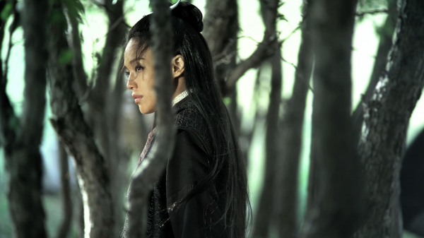 wu xia pian,Le Comptoir,sylvain métafiot,le poignard et la grâce,the assassin,hou hsiao-hsien