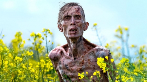 cimes cinéphiliques 2025,sylvain métafiot,ne bataille après l'autre,paul thomas anderson,black dog,hu guan,&nbsp;mektoub my love : canto due,abdellatif kechiche,À la lueur de la chandelle,andré gil mata,ermiglio,maura delpero,a house of dynamite,kathryn bigelow,eephus,carson lund,gangs of taïwan,keff,dimanches,shokir kholikov,la chambre de mariana,emmanuel finkiel,un parfait inconnu,james mangold,the brutalist,brady corbet,train dreams,clint bentley,chime,kiyoshi kurosawa,prima la vita,francesca comencini,amélie et la métaphysique des tubes,maïlys vallade et liane-cho han,tardes de soledad,albert serra,lumière,l'aventure continue,thierry frémaux,lumière de mes yeux,sophie bredier,selegna sol,anouk moyaux,parthenope,paolo sorrentino,resurrection,bi gan,mon gâteau préféré,maryam moqadam et behtash sanaeeha,le rire et le couteau