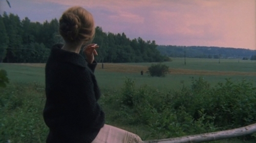 cimes cinéphiliques 2020,sylvain métafiot,top 10,flop 10,lucky strike,yong-hoon kim,la nuit venue,frédéric farrucci,peninsula,sang-ho yeon,radioactive,marjane satrapi,enragé,derrick borte,spenser confidential,peter berg,sortilège,ala eddine slim,the wretched,brett pierce et drew t. pierce,the gentlemen,guy ritchie,jojo rabbit,taika waititi,des hommes,jean-robert viallet et alice odiot,soul,pete docter,lux Æterna,gaspar noé,the king of staten island,judd apatow,swallow,carlo mirabella-davis,je veux juste en finir,charlie kaufman,malmkrog,cristi puiu,tommaso,abel ferrara,les choses qu'on dit,les choses qu'on fait,emmanuel mouret,hotel by the river,hong sang-soo,uncut gems,benny safdie et josh safdie,michel-ange,andrey konchalovsky