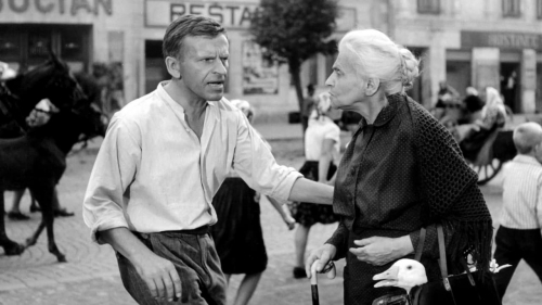 cimes cinéphiliques 2025,sylvain métafiot,ne bataille après l'autre,paul thomas anderson,black dog,hu guan,&nbsp;mektoub my love : canto due,abdellatif kechiche,À la lueur de la chandelle,andré gil mata,ermiglio,maura delpero,a house of dynamite,kathryn bigelow,eephus,carson lund,gangs of taïwan,keff,dimanches,shokir kholikov,la chambre de mariana,emmanuel finkiel,un parfait inconnu,james mangold,the brutalist,brady corbet,train dreams,clint bentley,chime,kiyoshi kurosawa,prima la vita,francesca comencini,amélie et la métaphysique des tubes,maïlys vallade et liane-cho han,tardes de soledad,albert serra,lumière,l'aventure continue,thierry frémaux,lumière de mes yeux,sophie bredier,selegna sol,anouk moyaux,parthenope,paolo sorrentino,resurrection,bi gan,mon gâteau préféré,maryam moqadam et behtash sanaeeha,le rire et le couteau