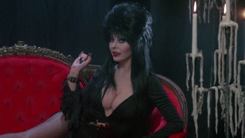 Elvira.jpg