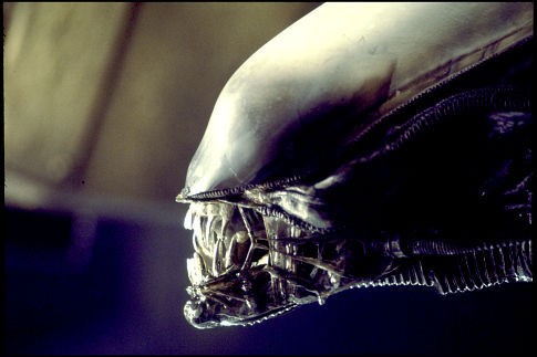 Alien Movie.jpg