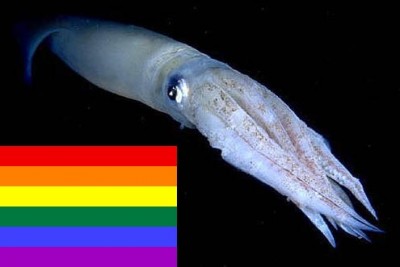 calamar gay.jpg