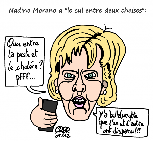 nadine morano,ump,fn,le pen,tweet raciste,sarko,10 juin morano,twitter,violence,guerre,paix,einstein,honte