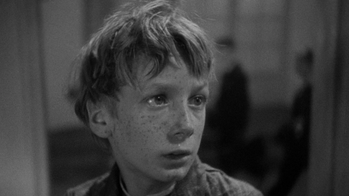 cimes cinéphiliques 2025,sylvain métafiot,ne bataille après l'autre,paul thomas anderson,black dog,hu guan,&nbsp;mektoub my love : canto due,abdellatif kechiche,À la lueur de la chandelle,andré gil mata,ermiglio,maura delpero,a house of dynamite,kathryn bigelow,eephus,carson lund,gangs of taïwan,keff,dimanches,shokir kholikov,la chambre de mariana,emmanuel finkiel,un parfait inconnu,james mangold,the brutalist,brady corbet,train dreams,clint bentley,chime,kiyoshi kurosawa,prima la vita,francesca comencini,amélie et la métaphysique des tubes,maïlys vallade et liane-cho han,tardes de soledad,albert serra,lumière,l'aventure continue,thierry frémaux,lumière de mes yeux,sophie bredier,selegna sol,anouk moyaux,parthenope,paolo sorrentino,resurrection,bi gan,mon gâteau préféré,maryam moqadam et behtash sanaeeha,le rire et le couteau