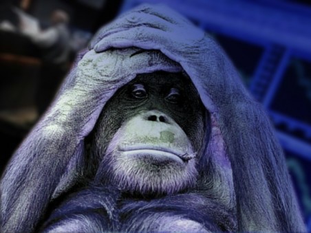 singe.jpg