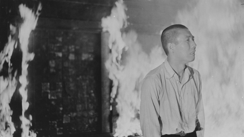 cimes cinéphiliques 2025,sylvain métafiot,ne bataille après l'autre,paul thomas anderson,black dog,hu guan,&nbsp;mektoub my love : canto due,abdellatif kechiche,À la lueur de la chandelle,andré gil mata,ermiglio,maura delpero,a house of dynamite,kathryn bigelow,eephus,carson lund,gangs of taïwan,keff,dimanches,shokir kholikov,la chambre de mariana,emmanuel finkiel,un parfait inconnu,james mangold,the brutalist,brady corbet,train dreams,clint bentley,chime,kiyoshi kurosawa,prima la vita,francesca comencini,amélie et la métaphysique des tubes,maïlys vallade et liane-cho han,tardes de soledad,albert serra,lumière,l'aventure continue,thierry frémaux,lumière de mes yeux,sophie bredier,selegna sol,anouk moyaux,parthenope,paolo sorrentino,resurrection,bi gan,mon gâteau préféré,maryam moqadam et behtash sanaeeha,le rire et le couteau