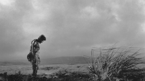 cimes cinéphiliques 2025,sylvain métafiot,ne bataille après l'autre,paul thomas anderson,black dog,hu guan,&nbsp;mektoub my love : canto due,abdellatif kechiche,À la lueur de la chandelle,andré gil mata,ermiglio,maura delpero,a house of dynamite,kathryn bigelow,eephus,carson lund,gangs of taïwan,keff,dimanches,shokir kholikov,la chambre de mariana,emmanuel finkiel,un parfait inconnu,james mangold,the brutalist,brady corbet,train dreams,clint bentley,chime,kiyoshi kurosawa,prima la vita,francesca comencini,amélie et la métaphysique des tubes,maïlys vallade et liane-cho han,tardes de soledad,albert serra,lumière,l'aventure continue,thierry frémaux,lumière de mes yeux,sophie bredier,selegna sol,anouk moyaux,parthenope,paolo sorrentino,resurrection,bi gan,mon gâteau préféré,maryam moqadam et behtash sanaeeha,le rire et le couteau