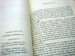 comprendre les attentats du 13 novembre avec albert camus,sylvain métafiot,le comptoir,l'homme révolté,anarchistes,terroristes,islamistes,paris,nihilisme,meurtre historique,cain,abel,création et révolution