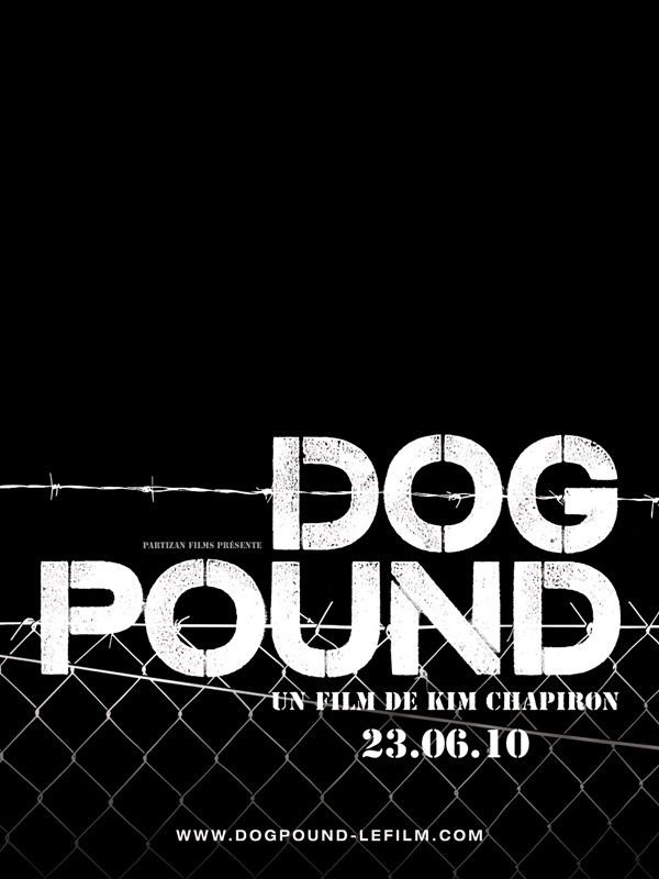 Dog pound.jpg